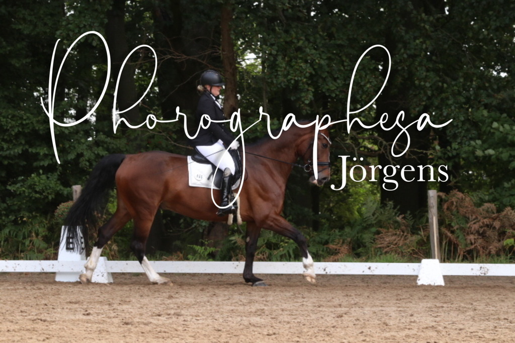 IMG_0245 | photographesa-joergens - Realisiert mit Pictrs.com