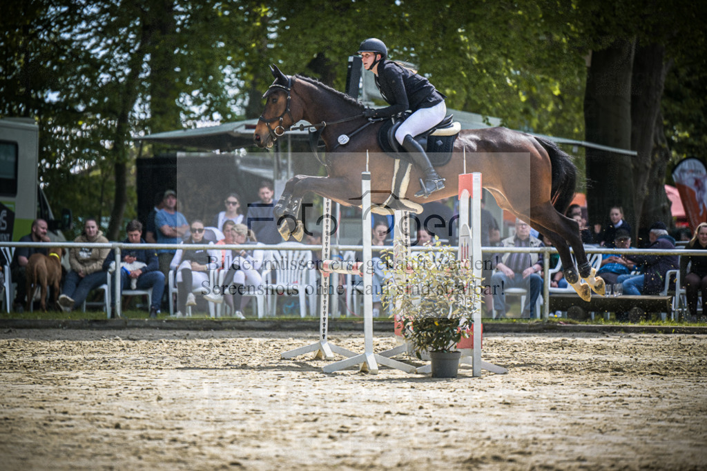 DOS_0013 | Entdecke hochwertige Reitturnierfotos von Foto Oger. Professionell, emotional und authentisch – jetzt Lieblingsmomente im Shop bestellen.Deutschlandweite Turnierfotografie. - Realisiert mit Pictrs.com