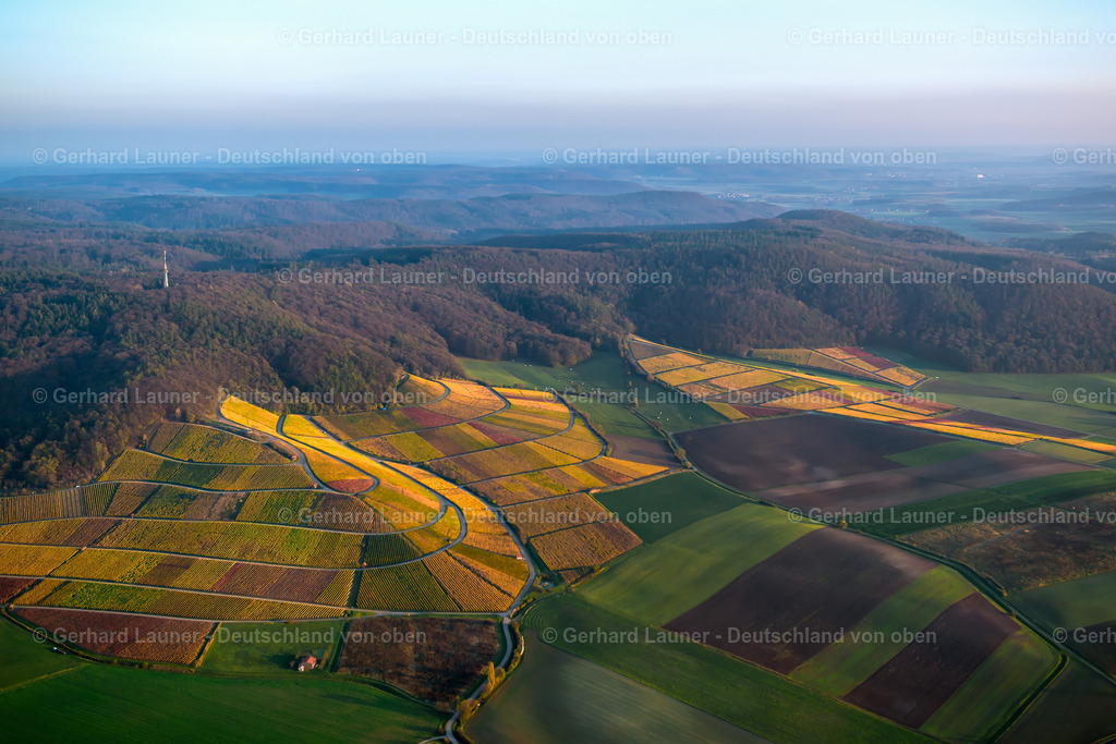 9000491 | Weinberge bei Abtswind, Weinlage Altenberg