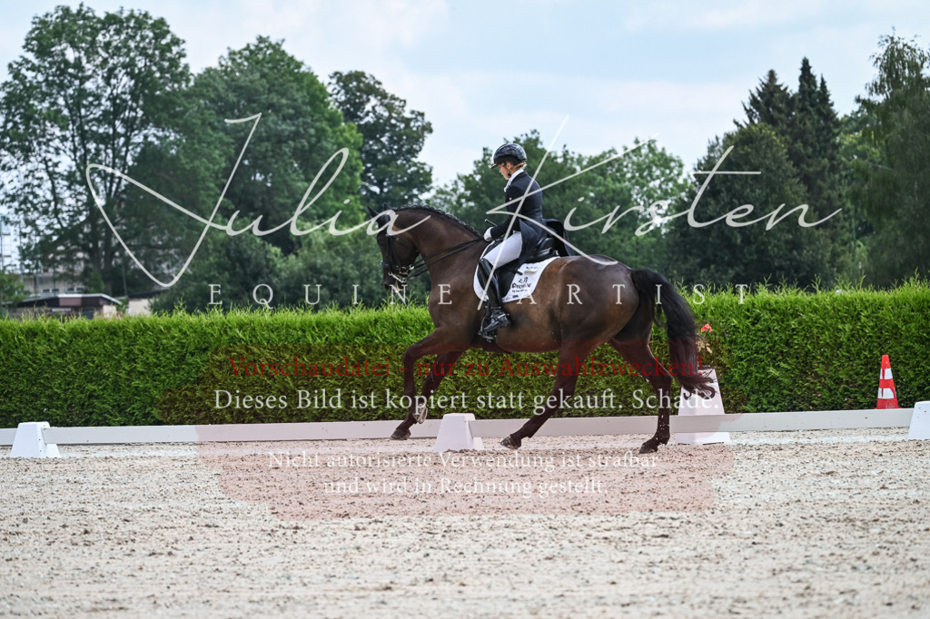 DSC_2466 | Pferde- und Turnierfotografie in Westsachsen. Pferdeportraits, Auftragszeichnungen und intuitive Kunst.