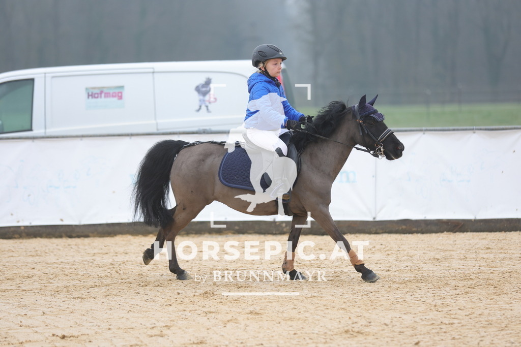 0P6A8286 | Willkommen bei Brunnmayr - Design & Fotografie – Ihrem Spezialisten für Reitturniere und Pferdeveranstaltungen in Oberösterreich, Salzburg und Bayern! Seit über 17 Jahren sind wir leidenschaftlich dabei.