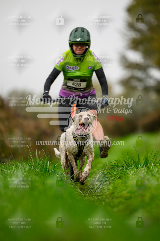 MompixPhotography_20TSB_E8_DS1-62 | PayLife