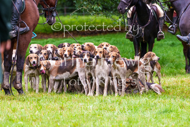 Jagd Perdoel 26 Sony-04180_MarinaHewig | Fotografie, FotoArt, PferdesportArt, Pferdesportfotografie, Landschaftsfotografie, Reisefotografie, Reise, Pferde - Realisiert mit Pictrs.com