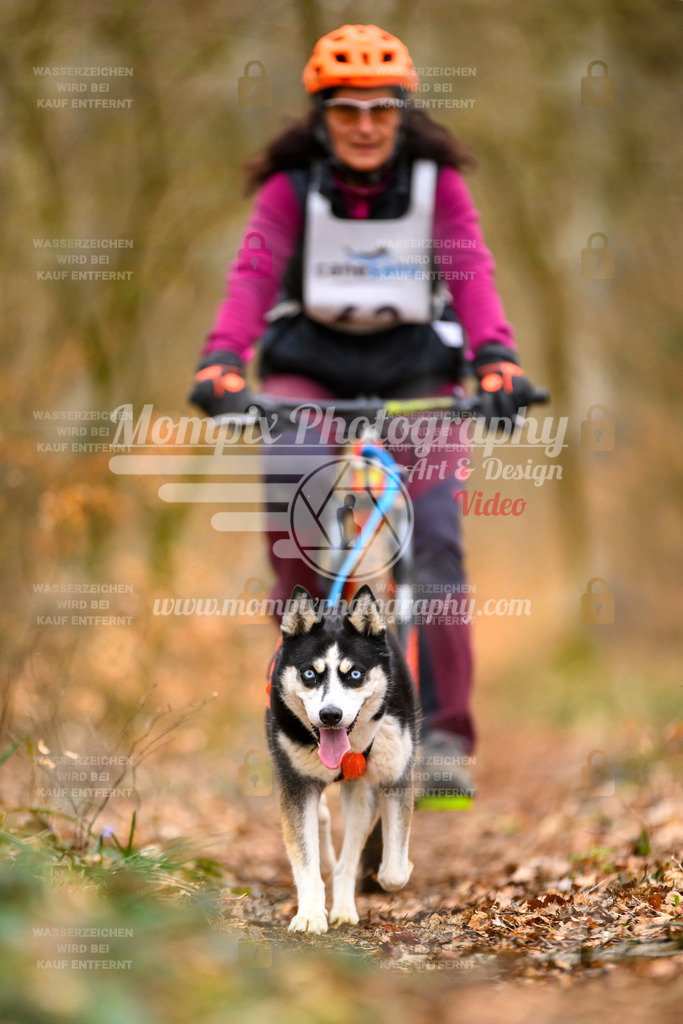 MompixPhotography_ReiatRennen2024_SO_Bike1H-173 | PayLife