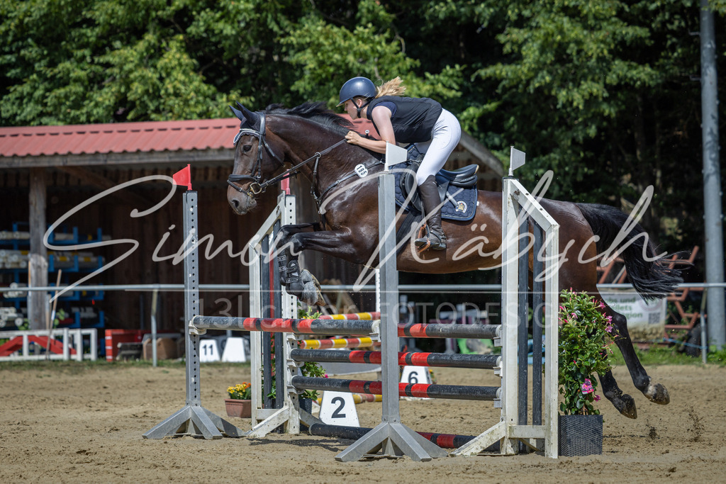 20260704-_3LI0389 | Tierfotografie Pferde, Hunde, Katzen, Haustiere.
Turnierfotografie Reitturniere, Reiten, Springreiten, Dressur in Hanau, dem Main-Kinzig-Kreis und dem Rhein-Main- Gebiet um Frankfurt