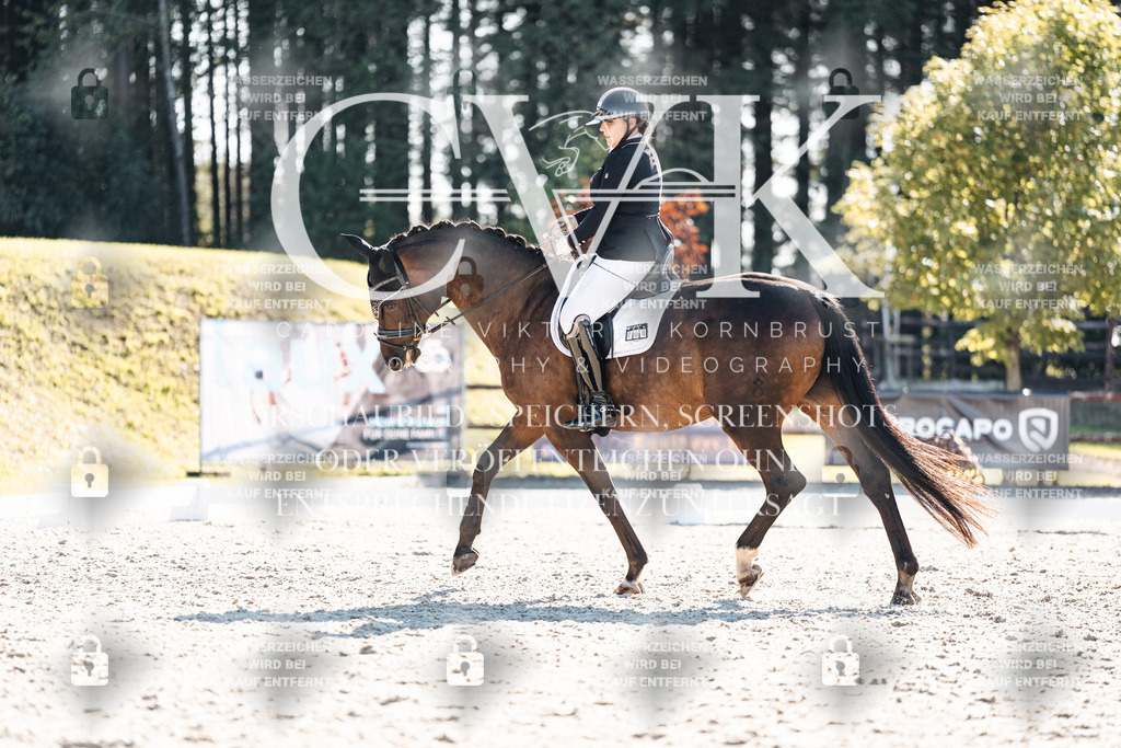 CK906124 | Turnierfotografie Pferdefotografie Trier Rheinland-Pfalz Pferdesport Reitsport Tierfotografie Sportfotografie Pferdevideo Pferdevideografie Equestrianvideography equestrianphotography  - Realisiert mit Pictrs.com