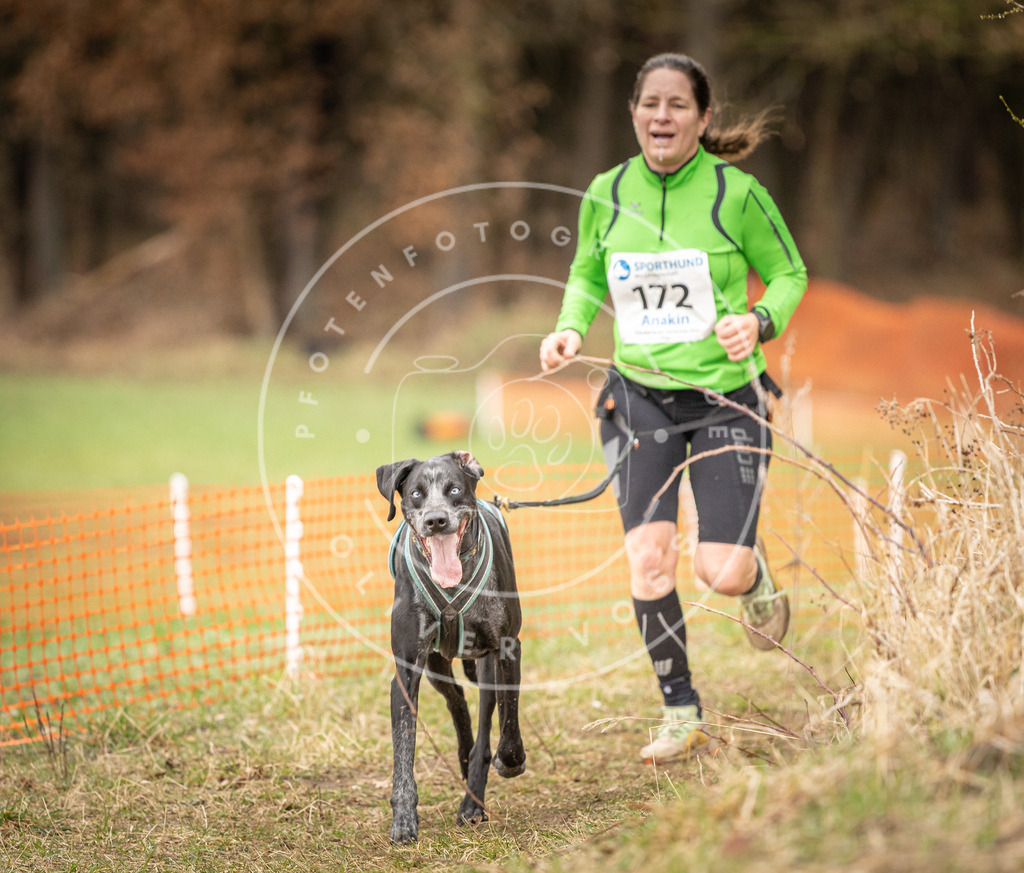 DV3A2315 | Hundefotografie, Tierfotograf, Pfotenfotografie, Fotoshooting Hund, Hunde Portrait, Hundesport, Hundeportraits, Heideshooting, Hunde, Sportfotograf, Hundefotograf, Turnierhundsport, THS,  - Realisiert mit Pictrs.com