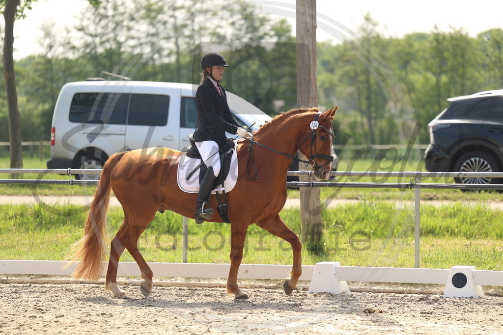 994A6638 | sabrinanicolaifotografie - Realisiert mit Pictrs.com