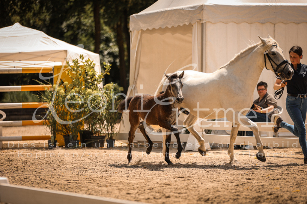 02.DoSR00185 | Leoni Ertmer Photography - Realisiert mit Pictrs.com