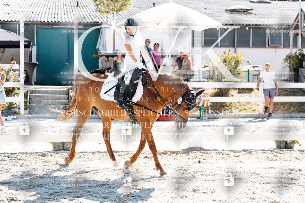 CK903263 | Turnierfotografie Pferdefotografie Trier Rheinland-Pfalz Pferdesport Reitsport Tierfotografie Sportfotografie Pferdevideo Pferdevideografie Equestrianvideography equestrianphotography  - Realisiert mit Pictrs.com