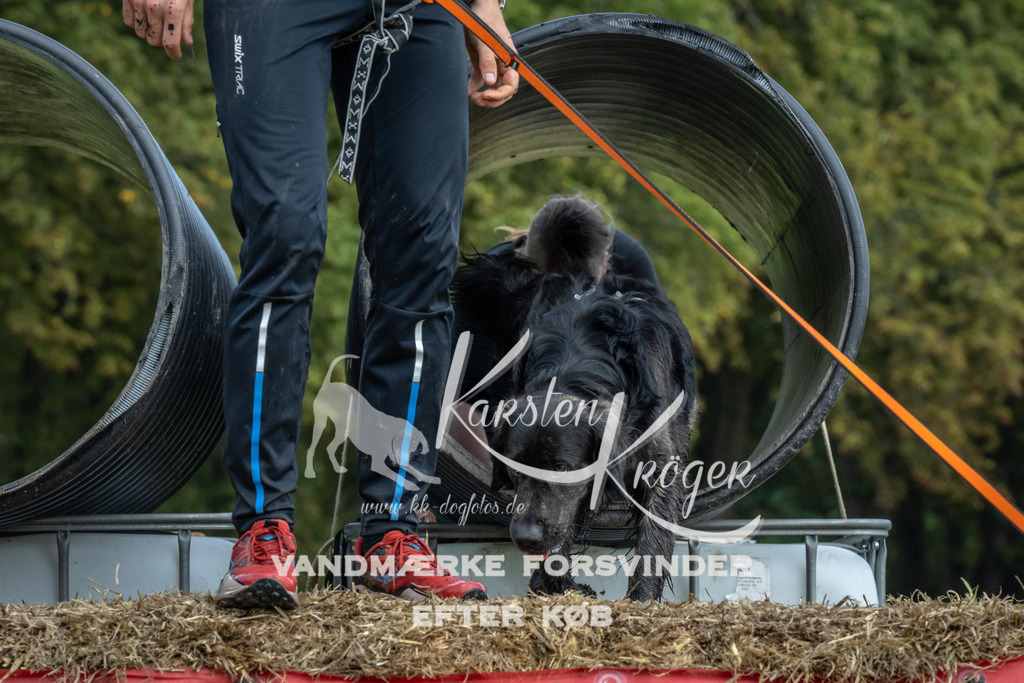 1347_ZZ94639 | kk-dogfotos