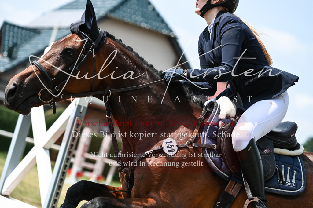 DSC_9116 | Pferde- und Turnierfotografie in Westsachsen. Pferdeportraits, Auftragszeichnungen und intuitive Kunst.