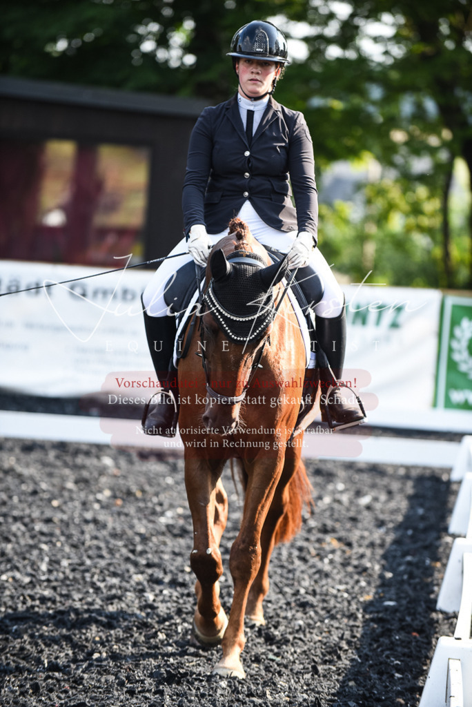 DSC_3258 | Pferde- und Turnierfotografie in Westsachsen. Pferdeportraits, Auftragszeichnungen und intuitive Kunst.