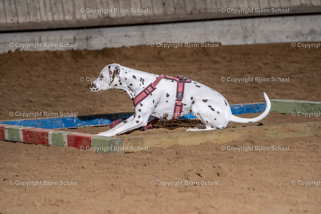 SBS04605 | BS-foto