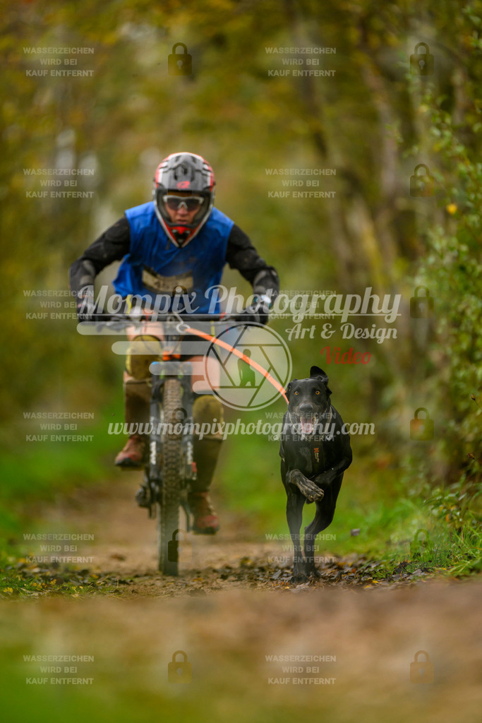 MompixPhotography_20TSB_E6_Bike-60 | PayLife