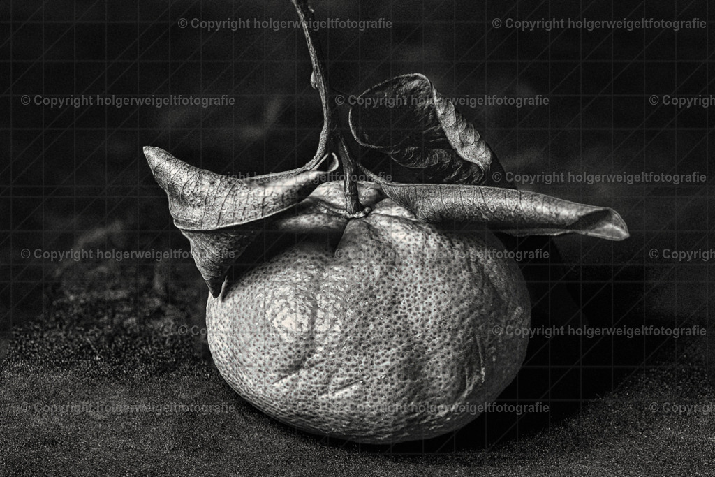 Mandarine mit Blättern | Kaufen sie online außergewöhnliche Fotografien auf Leinwand Acrylglas Fotoprint Aludibond von holgerweigeltfotografie - Realisiert mit Pictrs.com