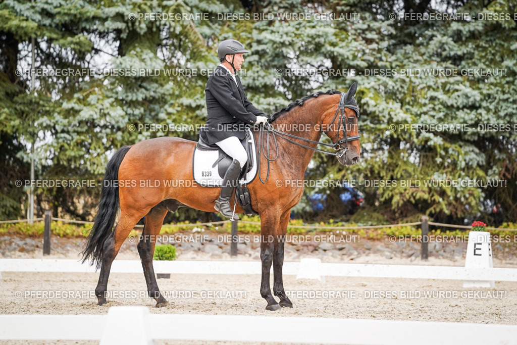 DSC07143 | Pferdegrafie