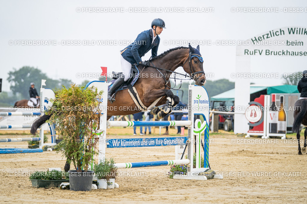 DSC01413 | Pferdegrafie