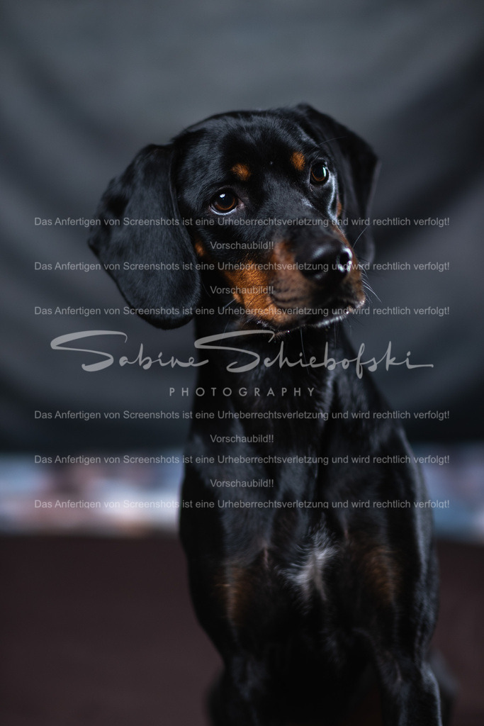 DSCF4422 | People- und Tierfotografie, Imageaufnahmen, Veranstaltungsfotografie und Wandbilder aus der Natur ★ Made in Germany ✔️ Druck + Downloads ✔️ Naturfotografie in Top Qualität ★ schneller Versand, weltweite Lieferung! - Realisiert mit Pictrs.com