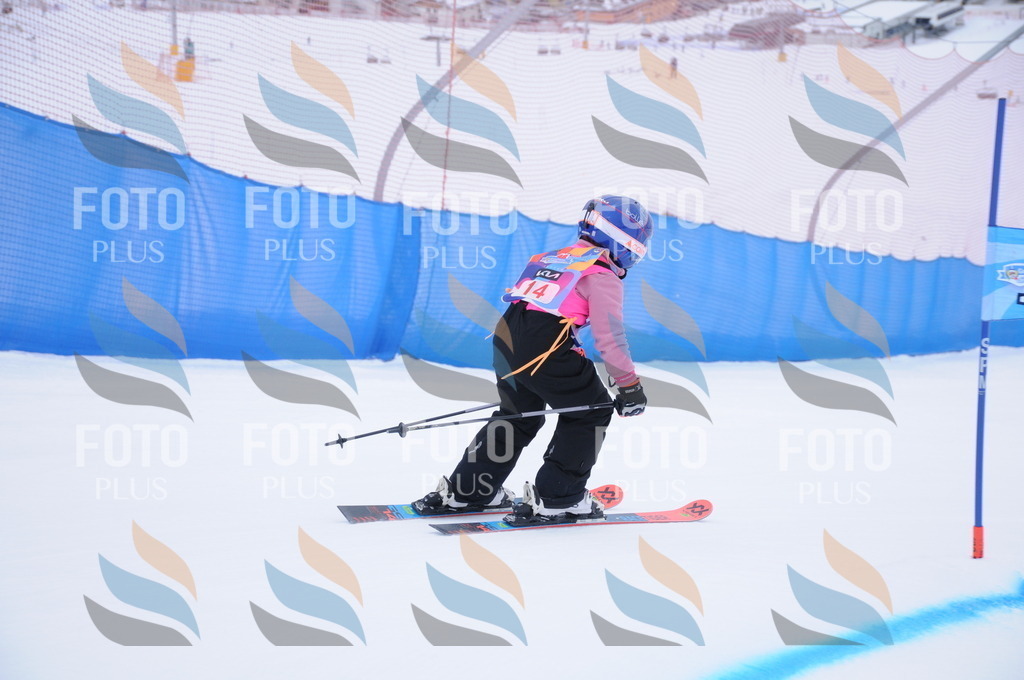 DSC_7662 | holidayphoto