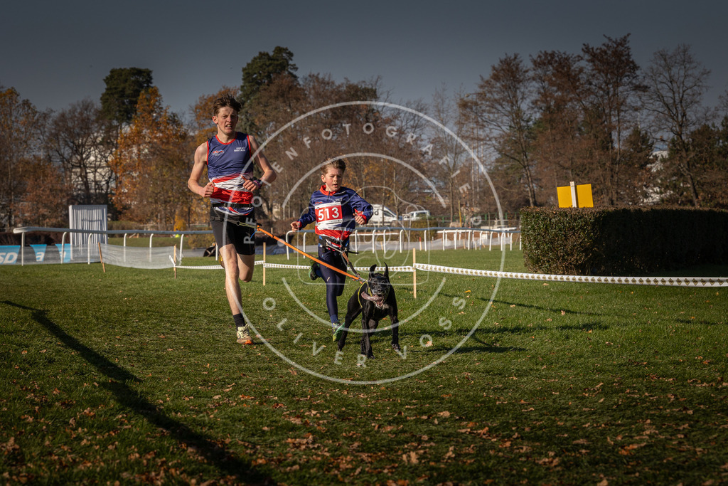 CaniXpix_0L8A8246 | Hundefotografie, Tierfotograf, Pfotenfotografie, Fotoshooting Hund, Hunde Portrait, Hundesport, Hundeportraits, Heideshooting, Hunde, Sportfotograf, Hundefotograf, Turnierhundsport, THS,  - Realisiert mit Pictrs.com