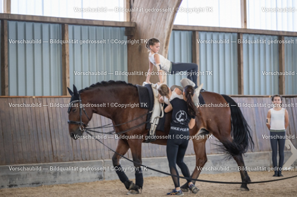 _D5A7127 | Emotionale Pferde- & People-Fotografie rund um Heidelberg, Leimen & Umgebung. Natürliche Fotos von Pferd, Mensch & Familie. Jetzt Termin sichern!