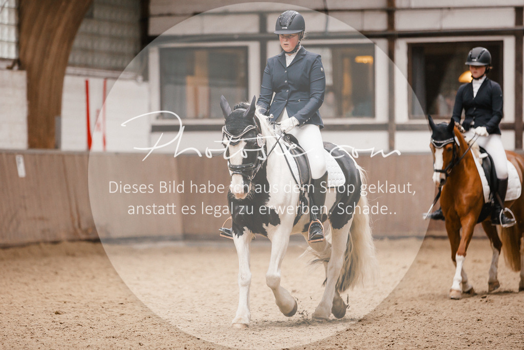 3I6A7942 | Stimmungsvolle Portraits und Reitsportfotografie im Ruhrgebiet und im Münsterland.

Pferdefotografie, Hundefotografie, Tierfotografie, Reportagen, Portraits von Tier und Mensch, Turnierfotografie in Bochum, Recklinghausen, Marl, Haltern am See, Dülmen.. - Realisiert mit Pictrs.com
