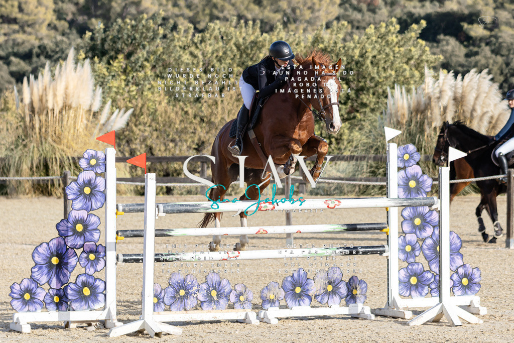 IMG_0403 | s-jay-photography - Realisiert mit Pictrs.com