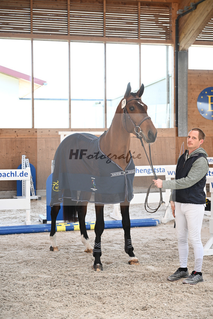 Kat-Nr. 67 Apple Blossom v h Beeckhof v. Bamako de Muze_KES-Kreidl_14265101 | hf-fotografie - Realizzato con Pictrs.com