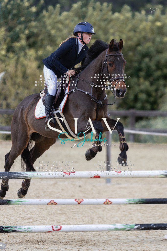 IMG_6048 | s-jay-photography - Realisiert mit Pictrs.com