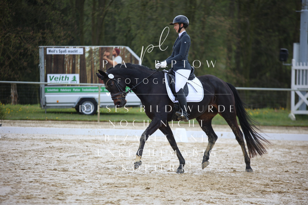 IMGT2816 | pl-fotografie