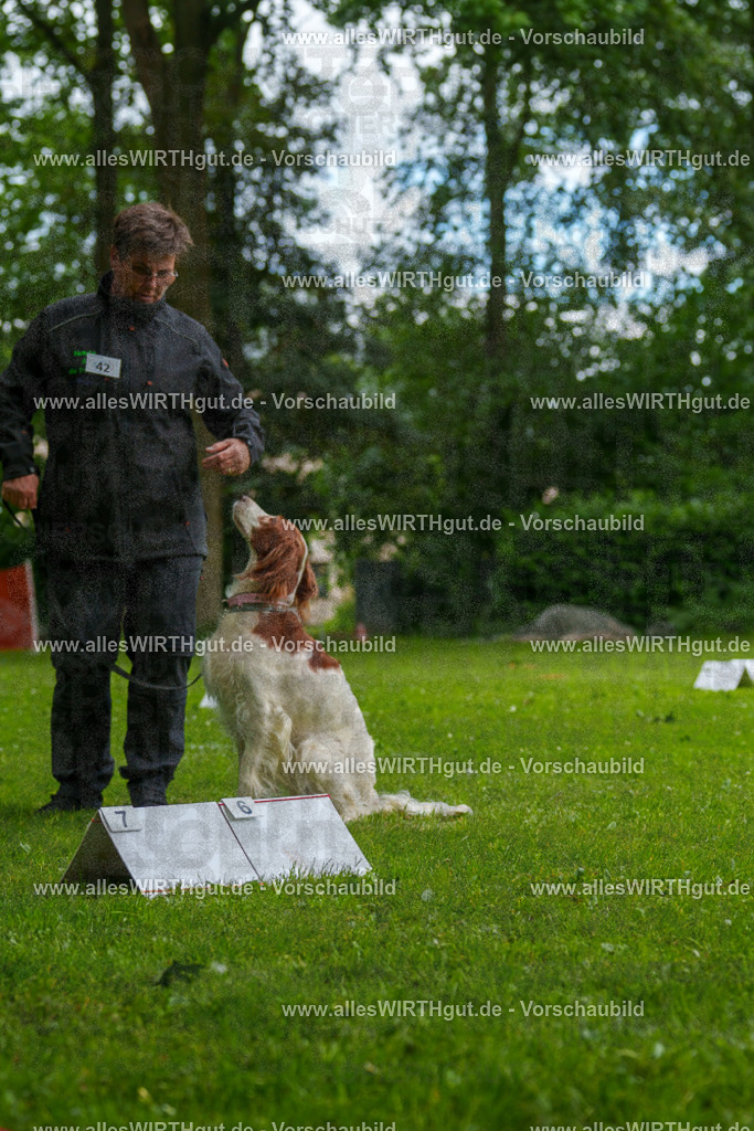 @allesWIRTHgut_Tierfotografie - www.allesWIRTHgut.de - 131422-7R509940 | Professionelle Tierfotografie in Mönchengladbach von Daniel Wirth (allesWIRTHgut). Liebevolle & natürliche Bilder von Hunden & Katzen für unvergessliche Erinnerungen.