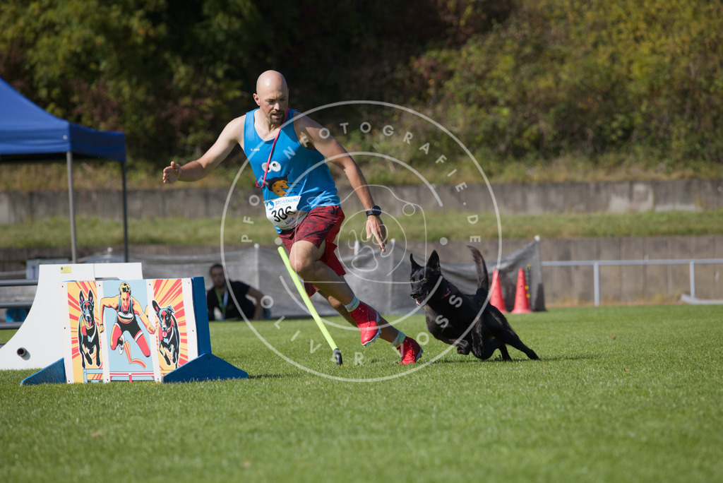 0L8A8173 | Hundefotografie, Tierfotograf, Pfotenfotografie, Fotoshooting Hund, Hunde Portrait, Hundesport, Hundeportraits, Heideshooting, Hunde, Sportfotograf, Hundefotograf, Turnierhundsport, THS,  - Realisiert mit Pictrs.com