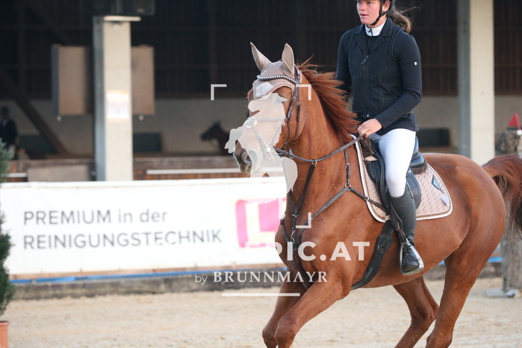 DL2Q0078 | Willkommen bei Brunnmayr - Design & Fotografie – Ihrem Spezialisten für Reitturniere und Pferdeveranstaltungen in Oberösterreich, Salzburg und Bayern! Seit über 17 Jahren sind wir leidenschaftlich dabei.