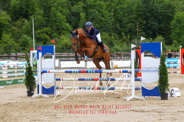 DKP41844 | Turniersportfotografie; Pferdefotografie; Dressurfotografie