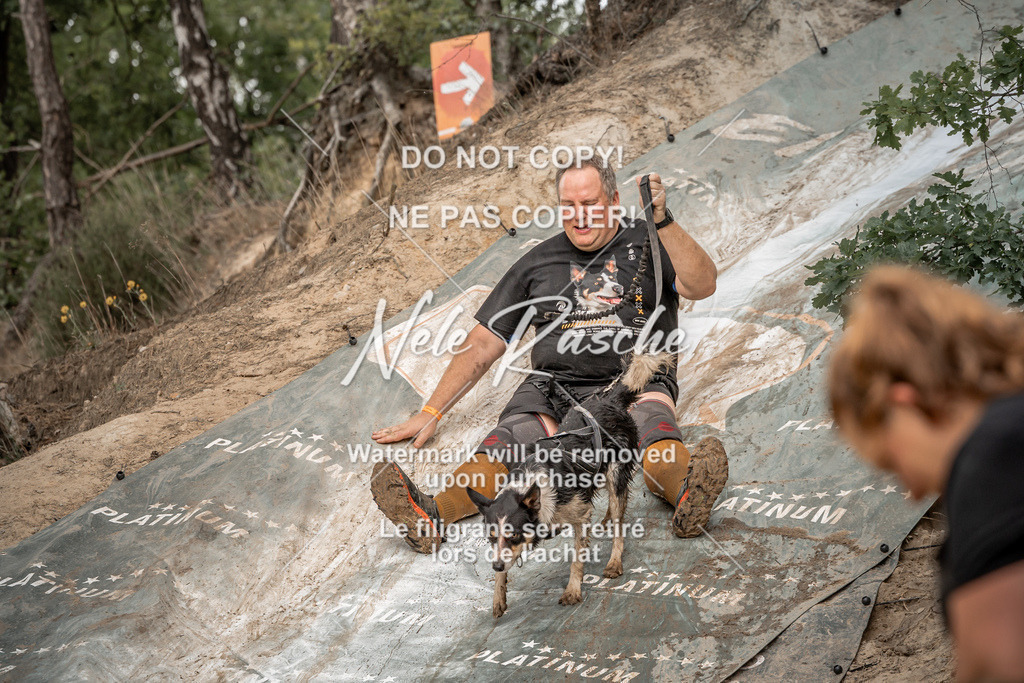 nelerasche_sa1300-1345_419 | nelerasche