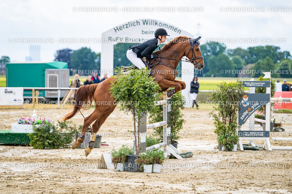 DSC04868 | Pferdegrafie