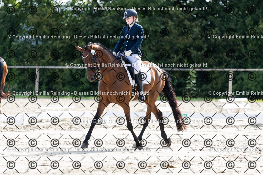 CL5A5642 | Emilia Reinking Fotografie - Realisiert mit Pictrs.com