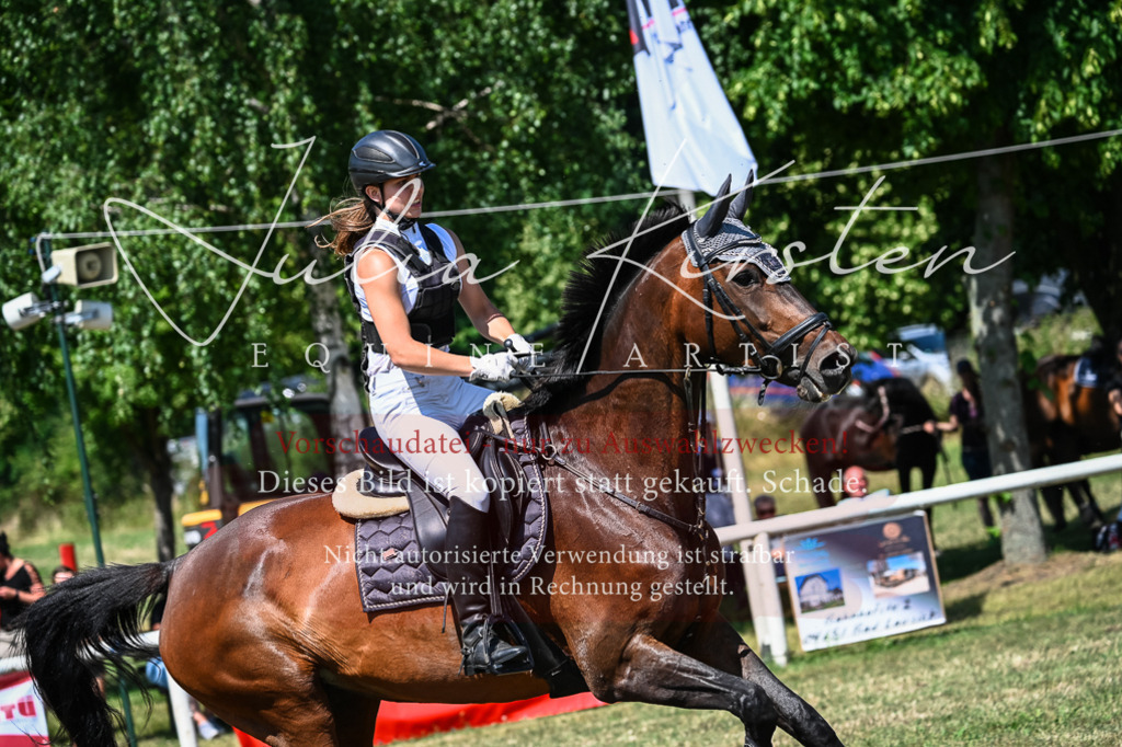 DSC_1065 | Pferde- und Turnierfotografie in Westsachsen. Pferdeportraits, Auftragszeichnungen und intuitive Kunst.