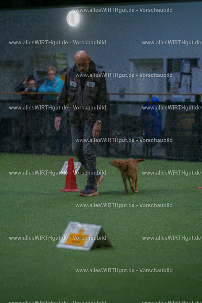 7R502643 | Professionelle Tierfotografie in Mönchengladbach von Daniel Wirth (allesWIRTHgut). Liebevolle & natürliche Bilder von Hunden & Katzen für unvergessliche Erinnerungen.