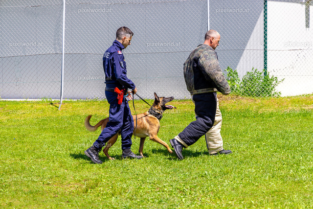 14. Frühlingsfest zugunsten der Kärntner Kinderkrebshilfe - Tag 1 | Bildershop von pixelworld.at - Realisiert mit Pictrs.com