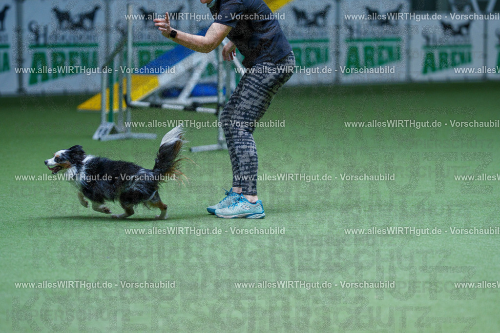 @allesWIRTHgut_Tierfotografie - www.allesWIRTHgut.de - 2604251300-7R503336 | Professionelle Tierfotografie in Mönchengladbach von Daniel Wirth (allesWIRTHgut). Liebevolle & natürliche Bilder von Hunden & Katzen für unvergessliche Erinnerungen.