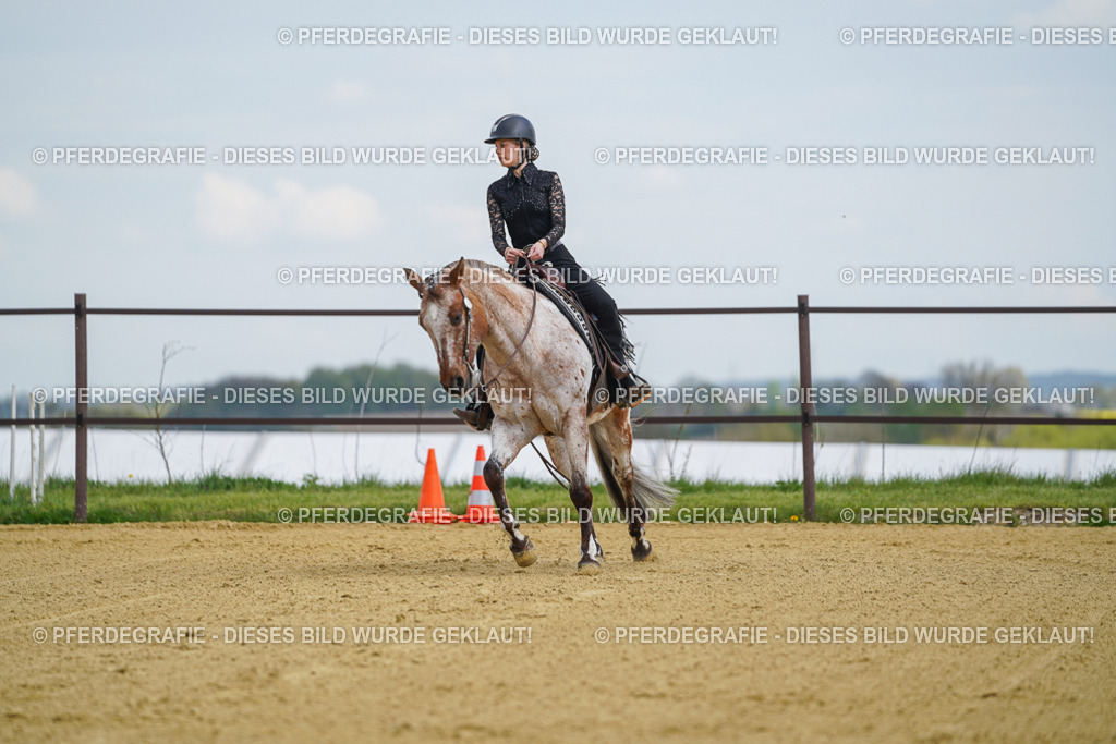 DSC05686 | Pferdegrafie