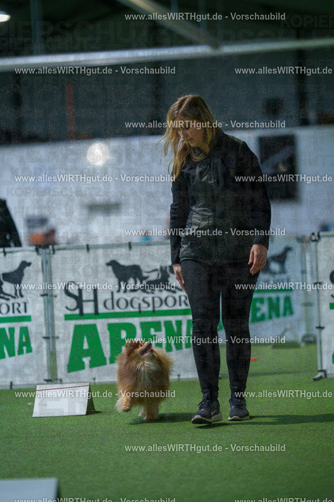 7R501759 | Professionelle Tierfotografie in Mönchengladbach von Daniel Wirth (allesWIRTHgut). Liebevolle & natürliche Bilder von Hunden & Katzen für unvergessliche Erinnerungen.