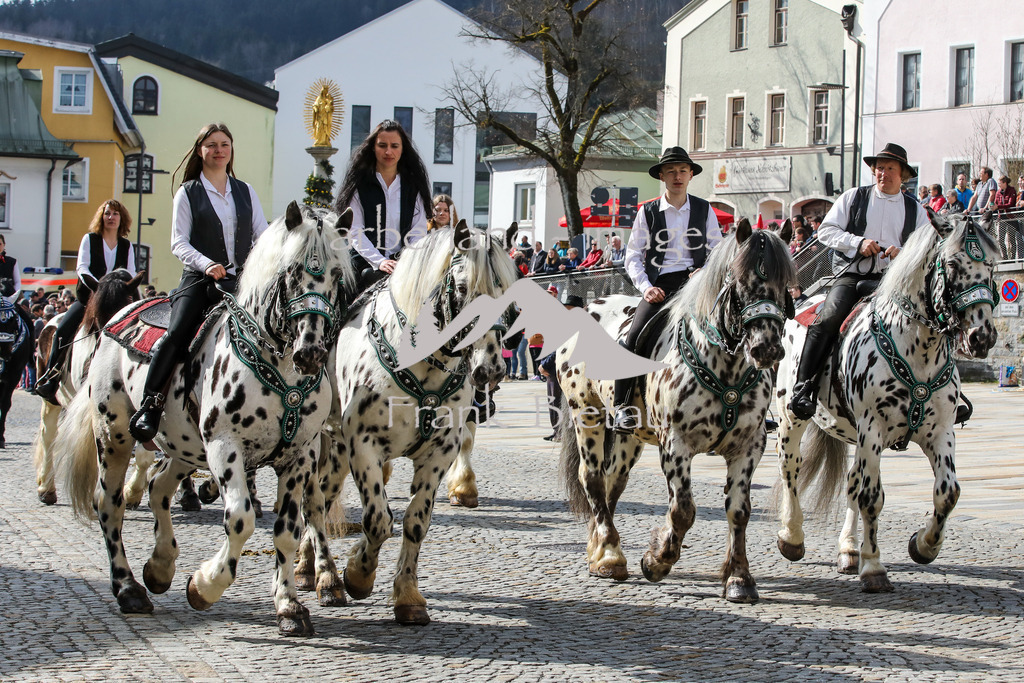 OE7A3809 | Traditionell findet am Ostermontag der Osterritt und der Flurumritt in der Stadt Regen statt