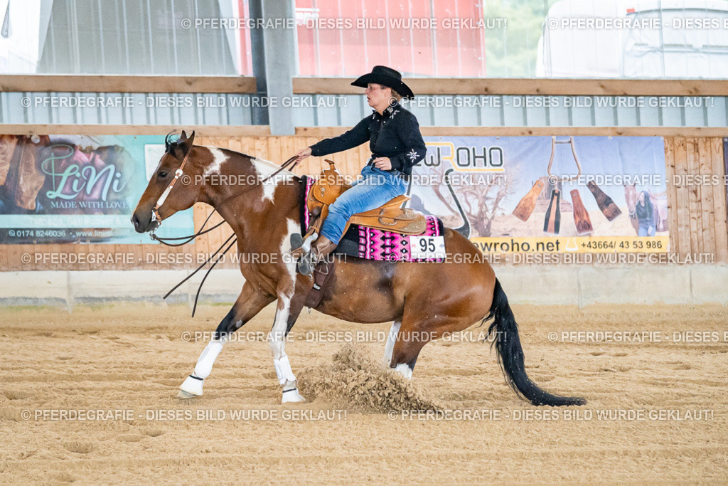 DSC06437 | Pferdegrafie