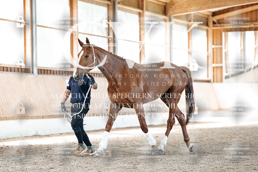 CK906648 | Turnierfotografie Pferdefotografie Trier Rheinland-Pfalz Pferdesport Reitsport Tierfotografie Sportfotografie Pferdevideo Pferdevideografie Equestrianvideography equestrianphotography  - Realisiert mit Pictrs.com