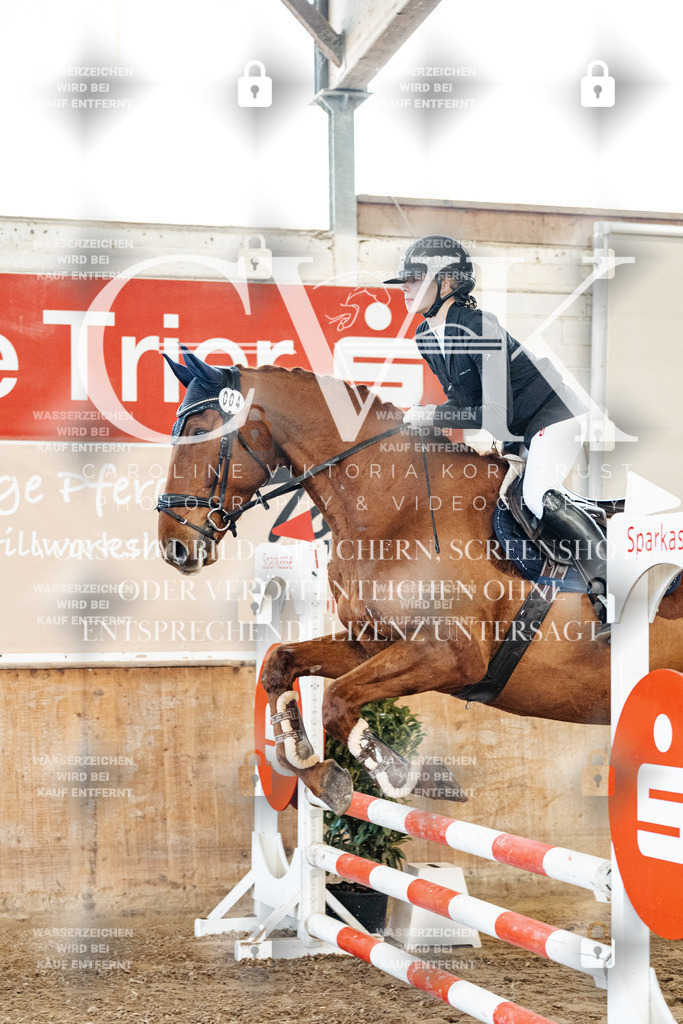 CK904069 | Turnierfotografie Pferdefotografie Trier Rheinland-Pfalz Pferdesport Reitsport Tierfotografie Sportfotografie Pferdevideo Pferdevideografie Equestrianvideography equestrianphotography  - Realisiert mit Pictrs.com