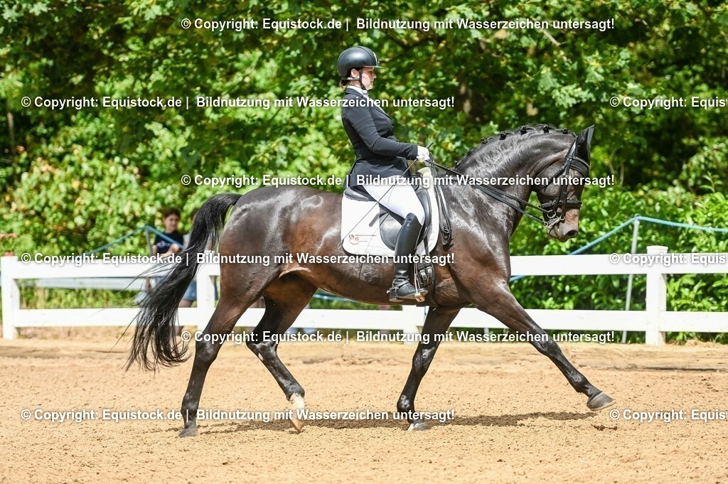 20230716_01_Dressurprüfung Kl.M_0137 | equistock