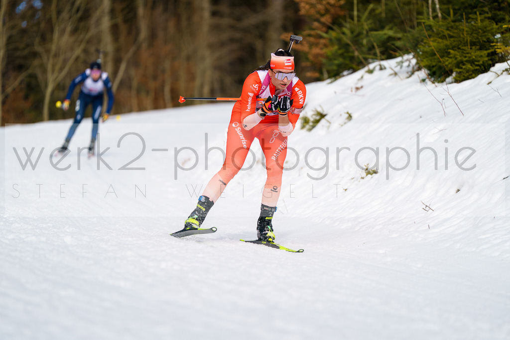 FESA Alpencup / DP Notschrei | Deutschland Pokal Finale im Schwarzwald NORDIC-CENTER Notschrei am 7. - 8. Februar 2026